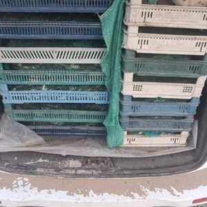 kacak avciliga operasyon 240 kilogram kurbagaya el konuldu ePIS1zuz