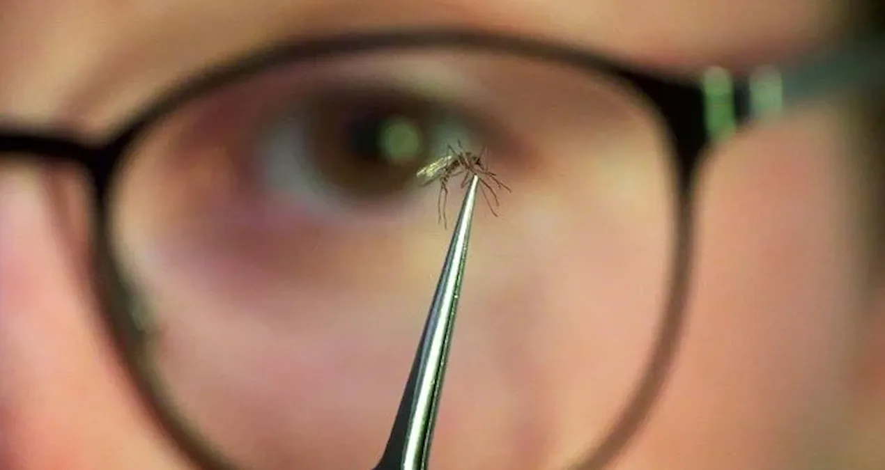 cinde yayilmaya baslayan salgin dunyayi endiselendiriyor wlnb2MHp