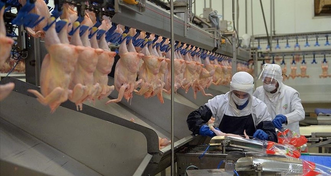 rekabet kurulundan unlu et markalarina 37 milyar tl ceza ygQI4RtB