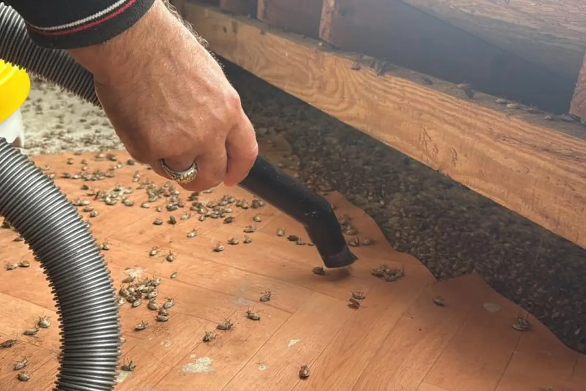 artik tum turkiyenin belasi marketleri de istila edecekler 3l2mEfrS.jpg