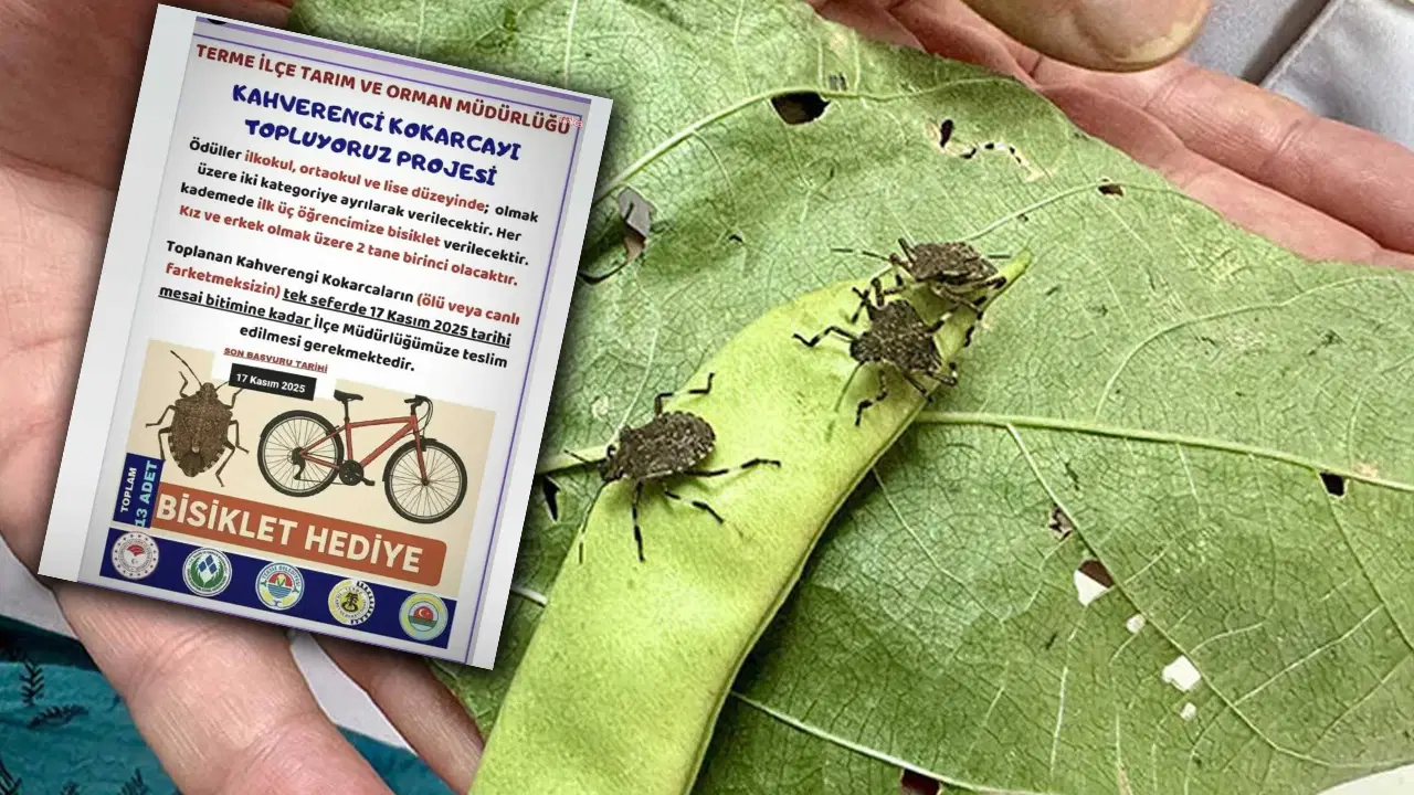 kokarca toplama projesine chpden tepki bilimle mucadele edecegimize cocuklari kullaniyoruz 2OZ3qcS9.jpg