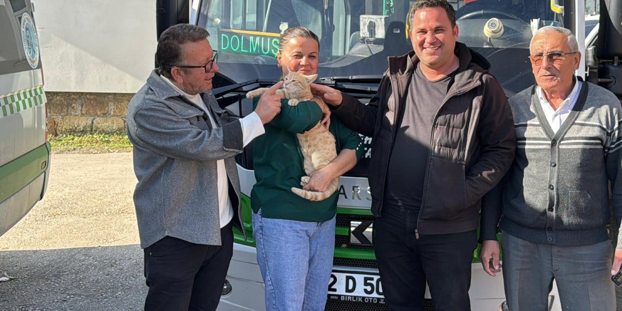 dolmus soforleri kedi icin seferber oldu ameliyat masrafini karsiladilar bakin ismini ne koydular fZr939xk.jpg