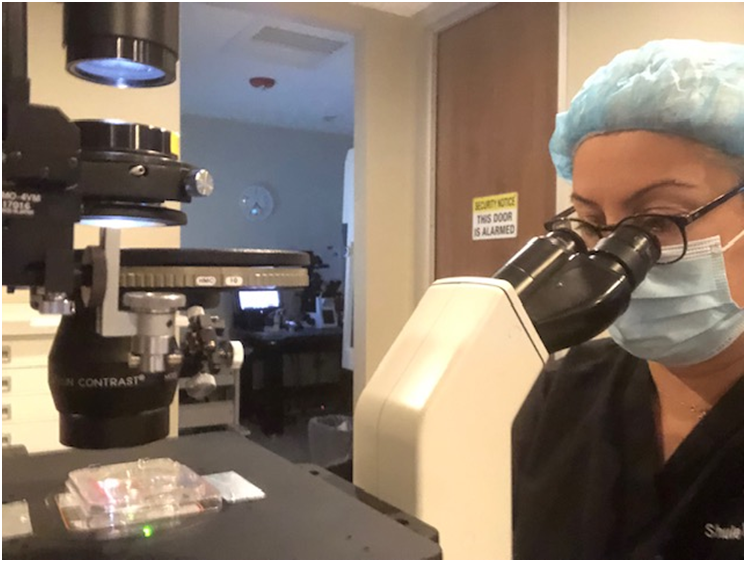 ABD Tüp Bebek Sektöründe Türk Kadınının Elde Ettiği Başarı