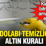 kimse-bilmiyor-ama-cok-etkili-buzdolabi-temizliginin-altin-kurali-Edb7ptLa