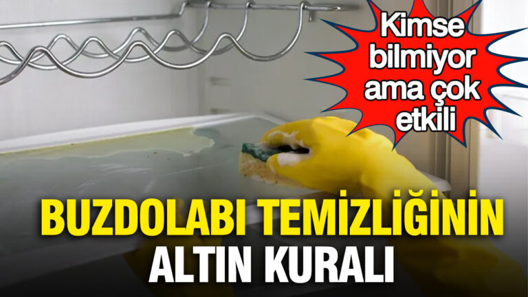 kimse-bilmiyor-ama-cok-etkili-buzdolabi-temizliginin-altin-kurali-Edb7ptLa